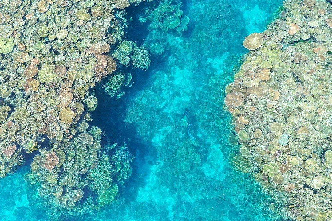 Great Barrier Reef, North Queensland