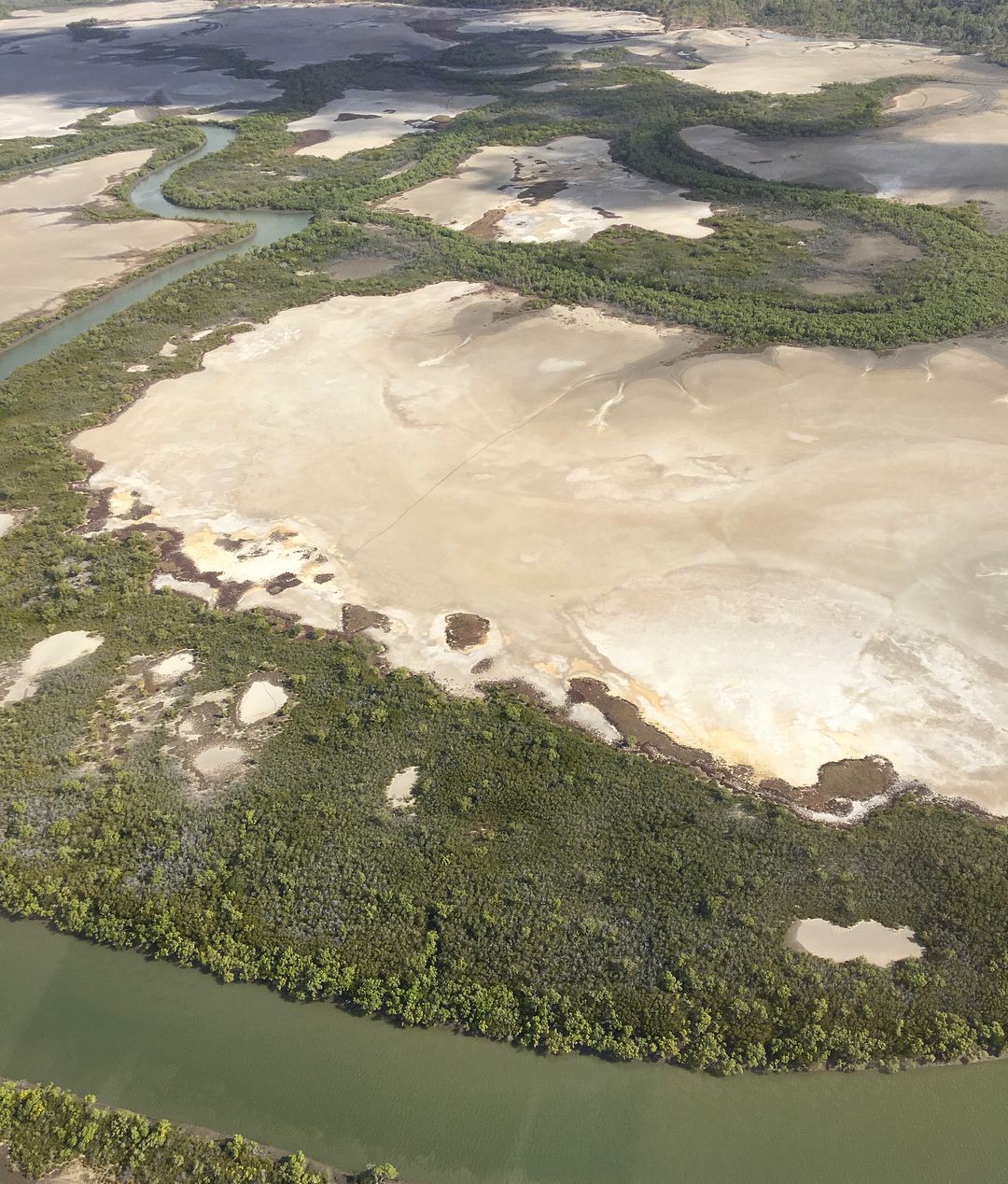 Salt Flats, Bowling Green Bay National Park