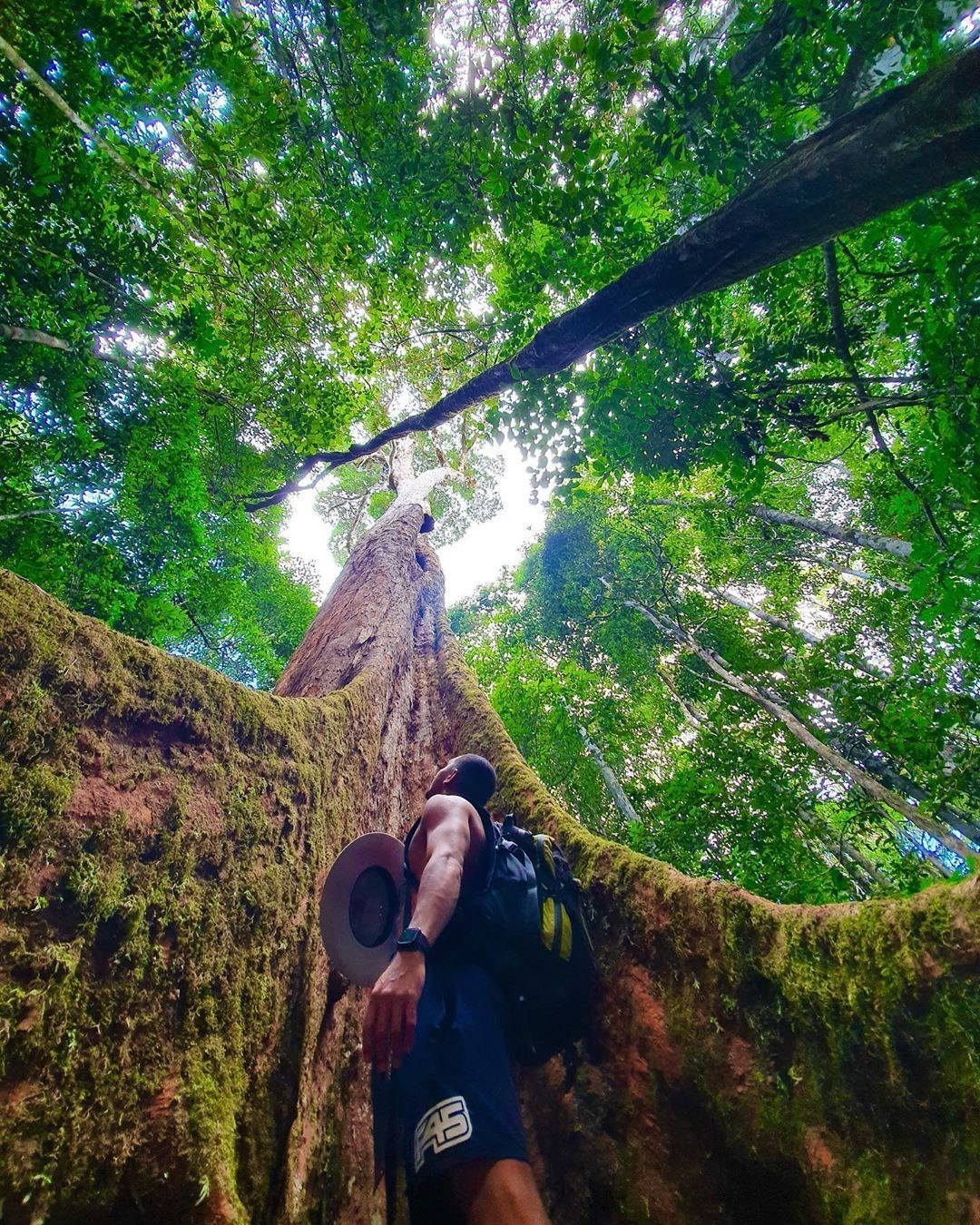 Paluma, North Queensland