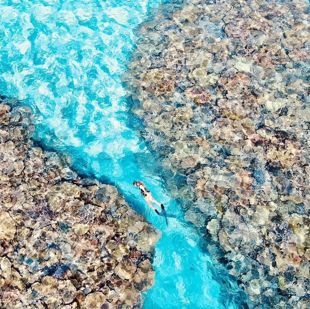 Great Barrier Reef, North Queensland