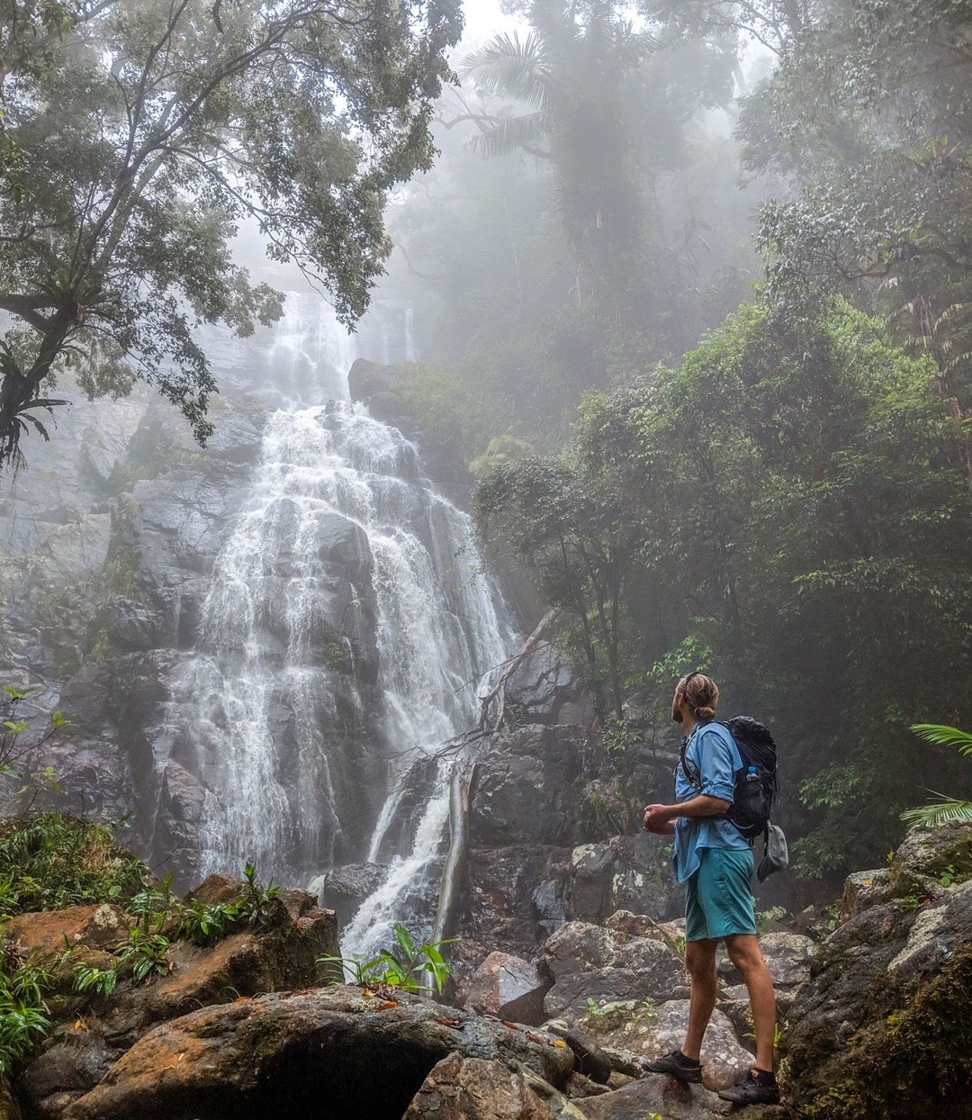Gold Creek Falls, Paluma