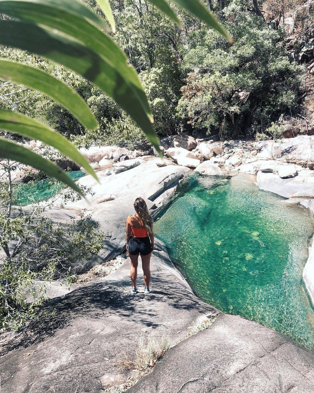 North Queensland, Paluma, Far North Queensland