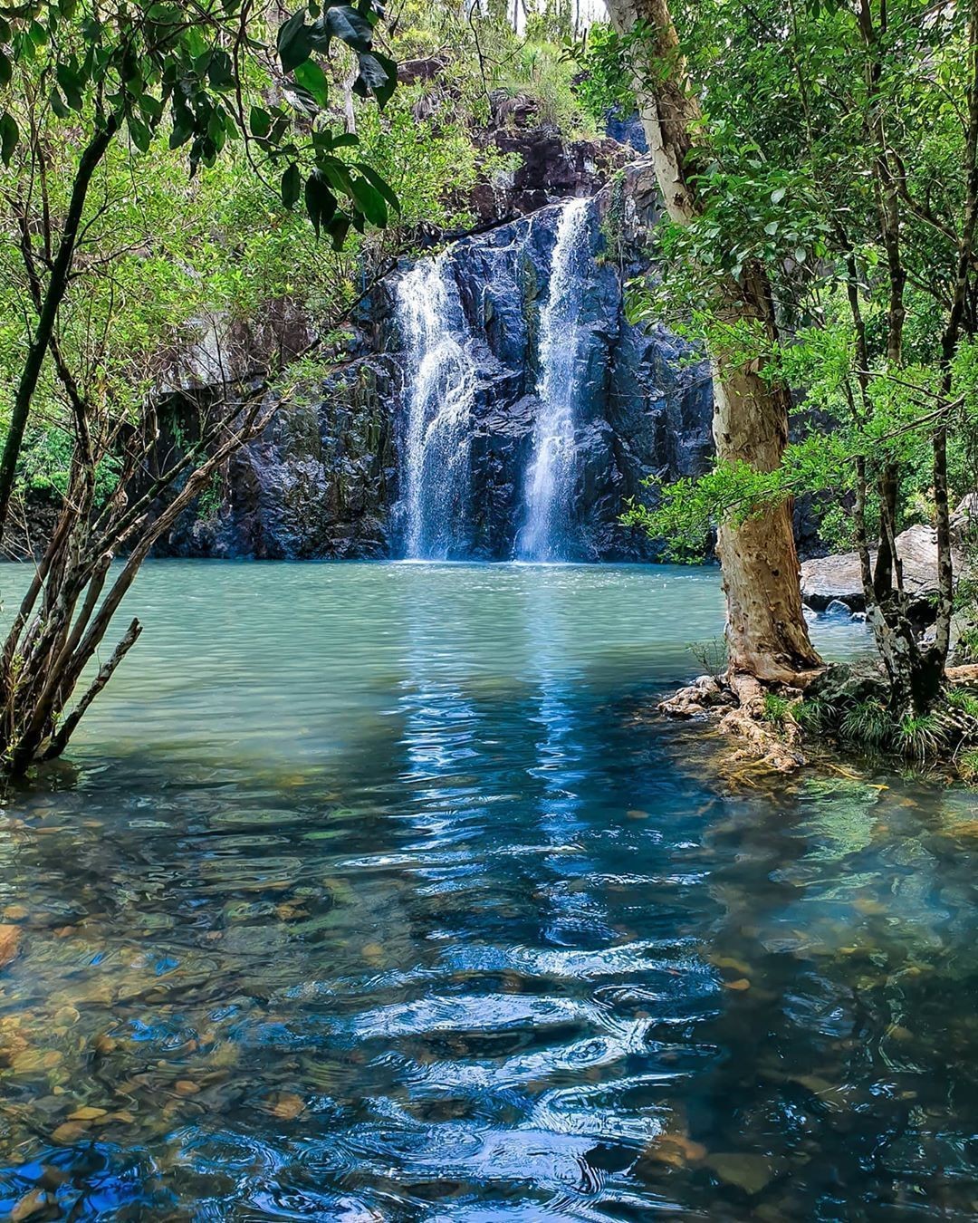 Cedar Creek Falls, North Queensland