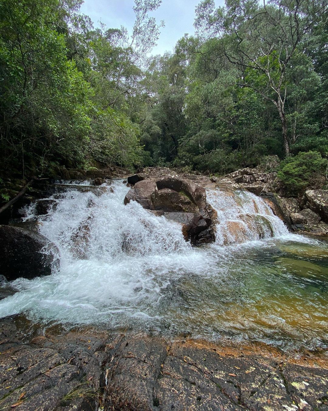 North Queensland, Townsville, Crystal Creek, Paluma