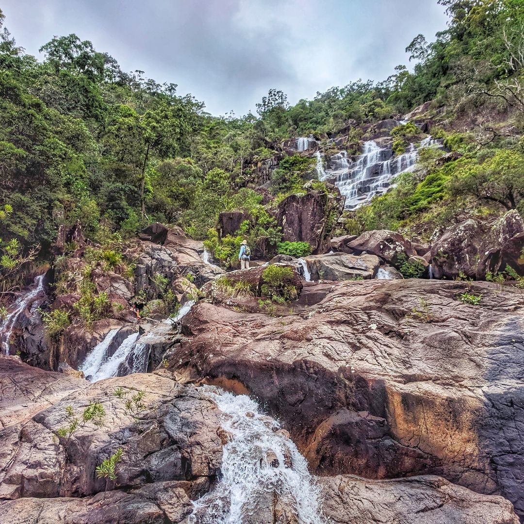 Waterfall Creek, Paluma