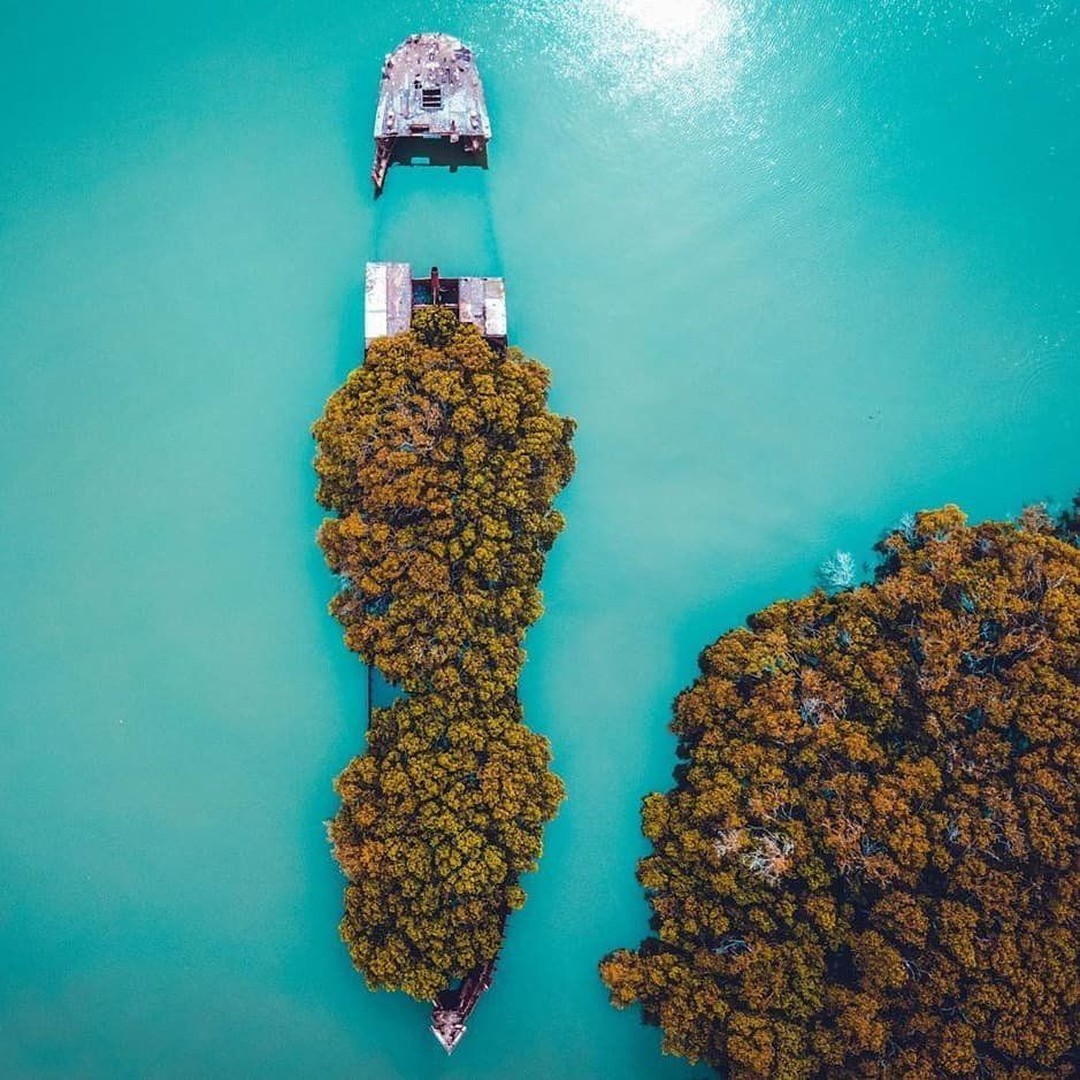 This wild wreck that sunk in 1970s, hosts an amazing forest of mangrove trees... To admire it from a distance is a fascinating spectacle.