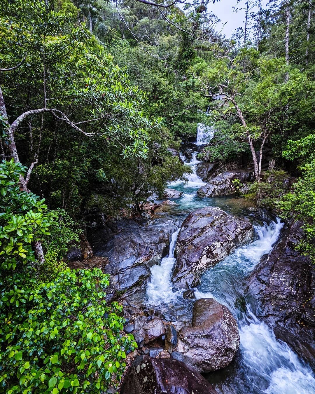 North Queensland, Townsville, Little Crystal Creek