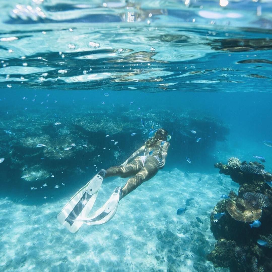 Explore the wilderness beneath the sea and you will find happiness! Freedive