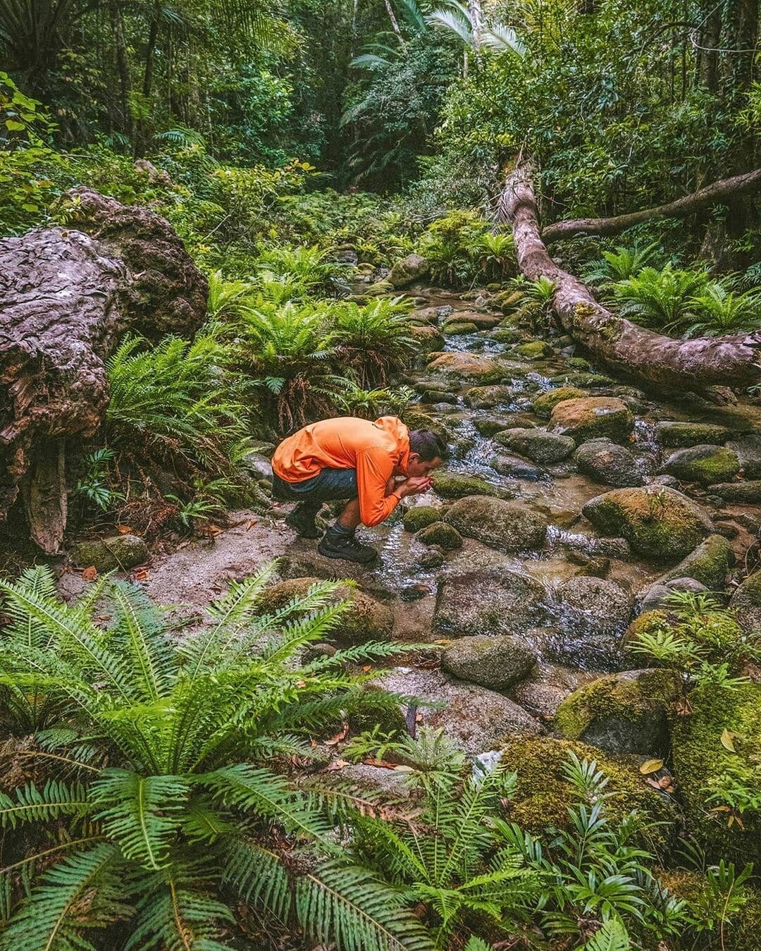 North Queensland, Townsville