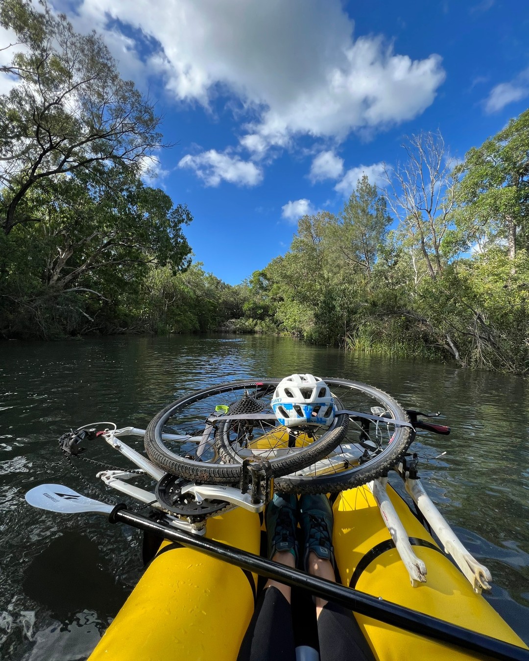Alligator Creek
