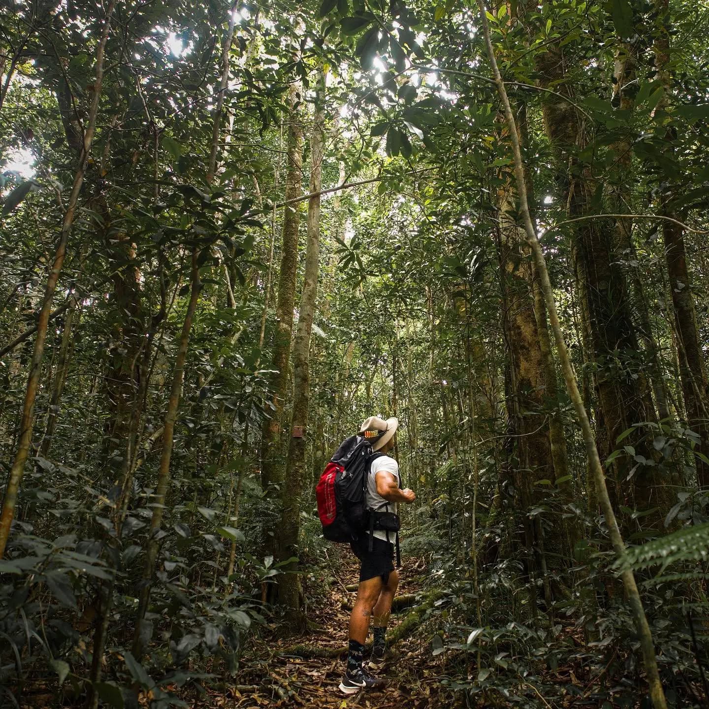 Time spent amongst the trees is never wasted time 🌳🍃