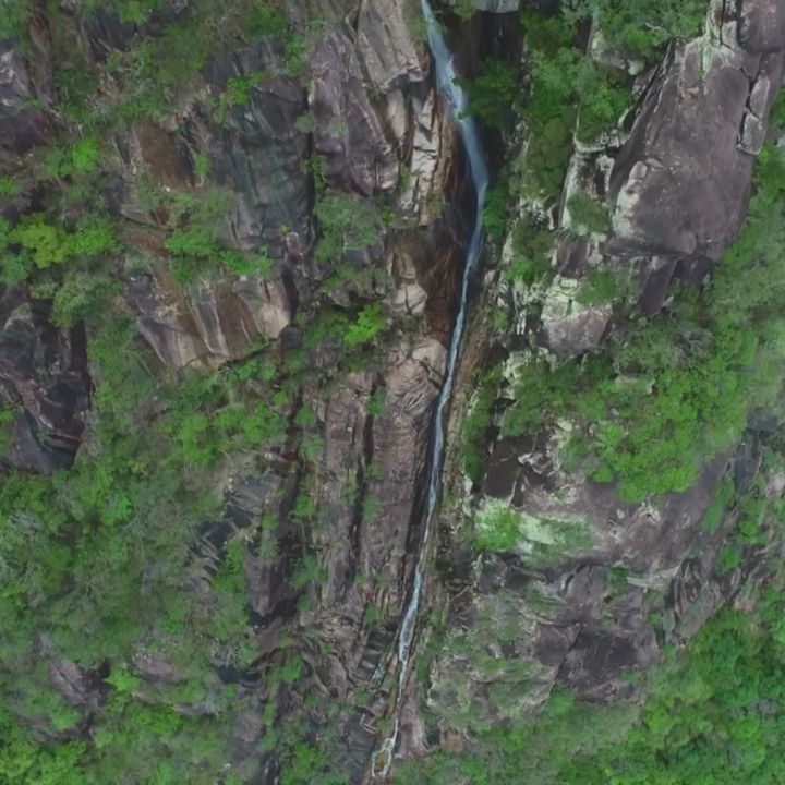 North Queensland, Bowling Green Bay National Park