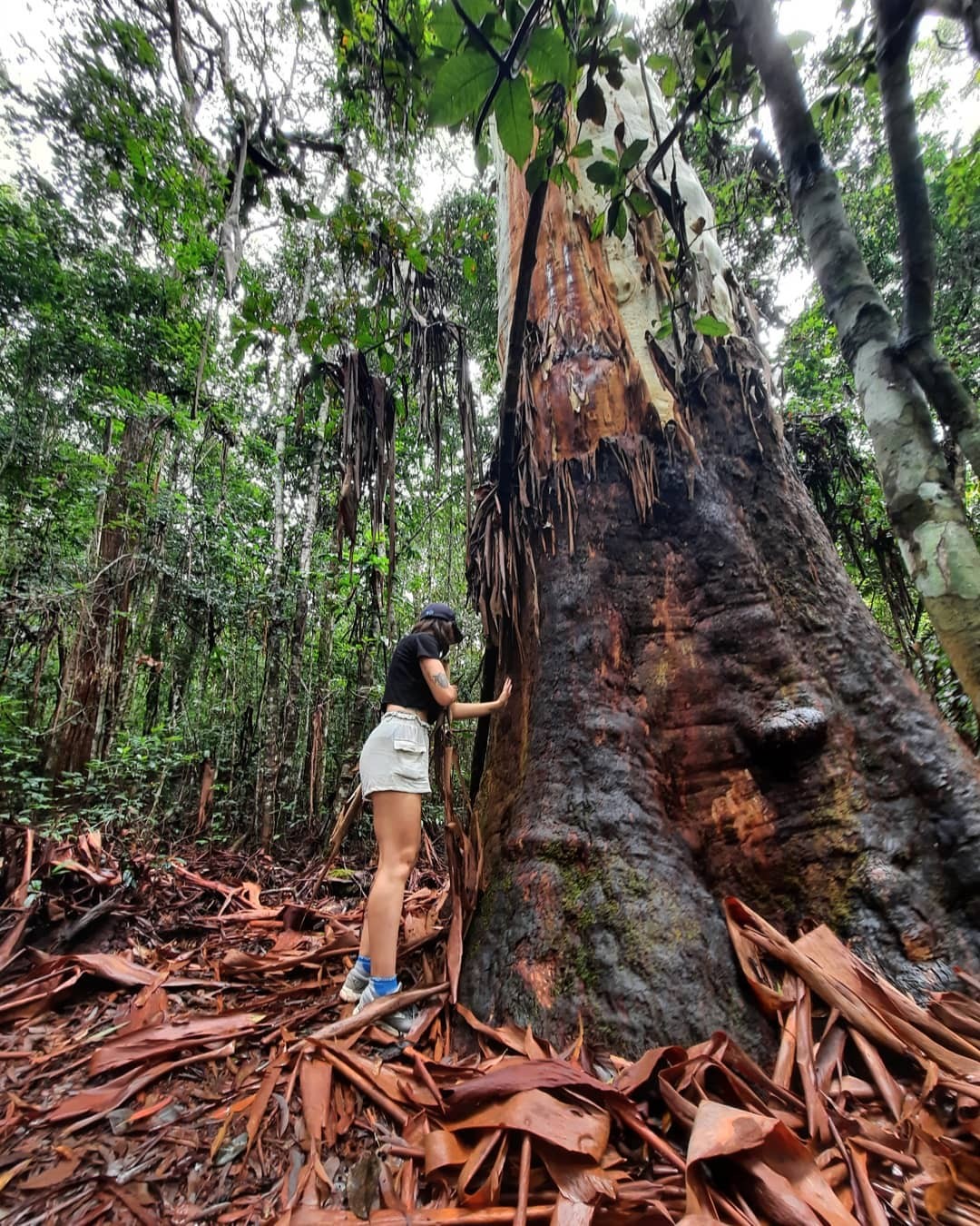 Paluma, North Queensland, Townsville