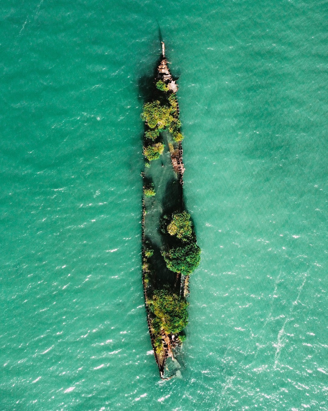 Magnetic Island, S.S. Adelaide