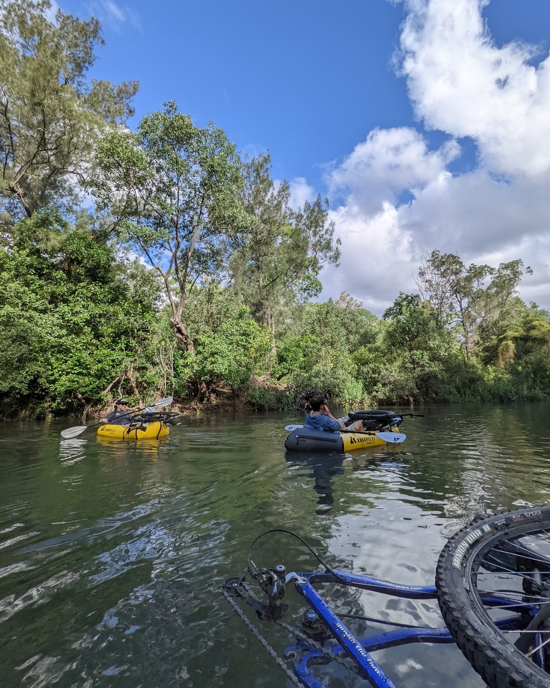 Alligator Creek