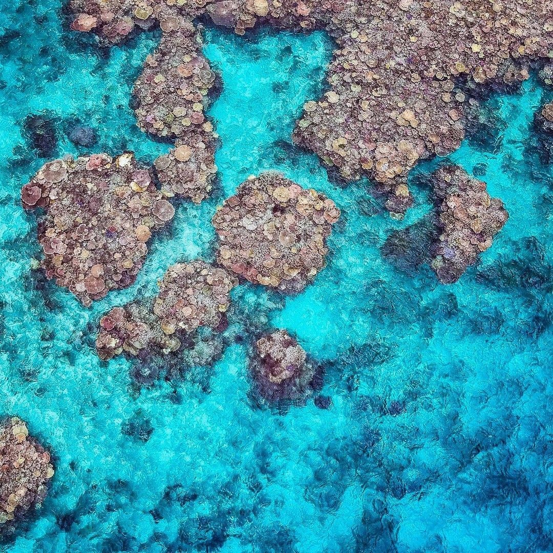 Great Barrier Reef, Lodestone Reef