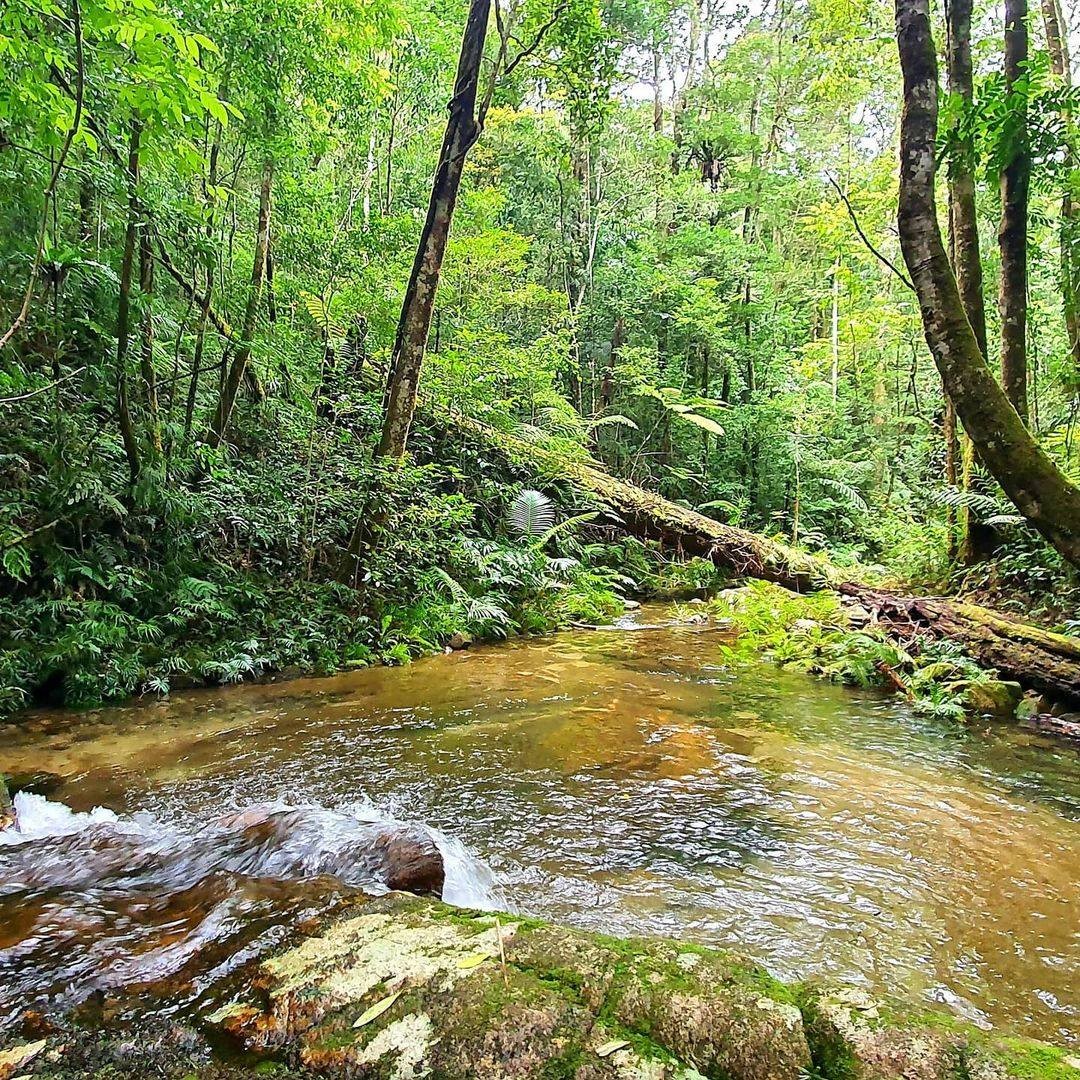 Paluma, North Queensland, Townsville