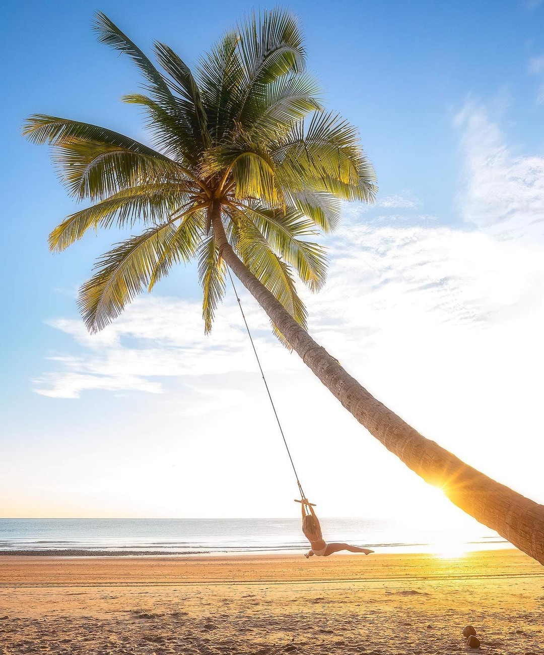 When you see a palm tree with a swing on it …