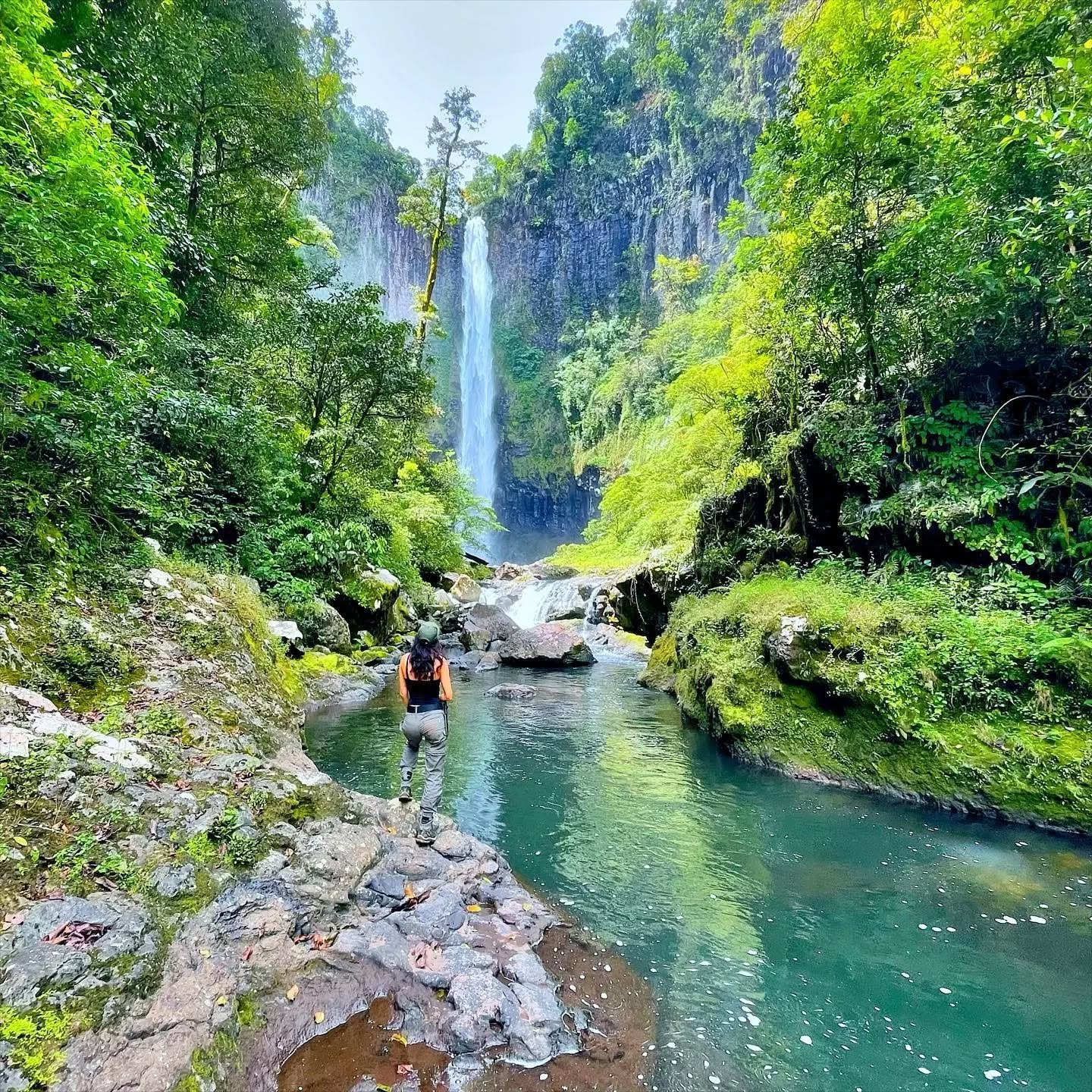 Tully Gorge, Tully Falls National Park