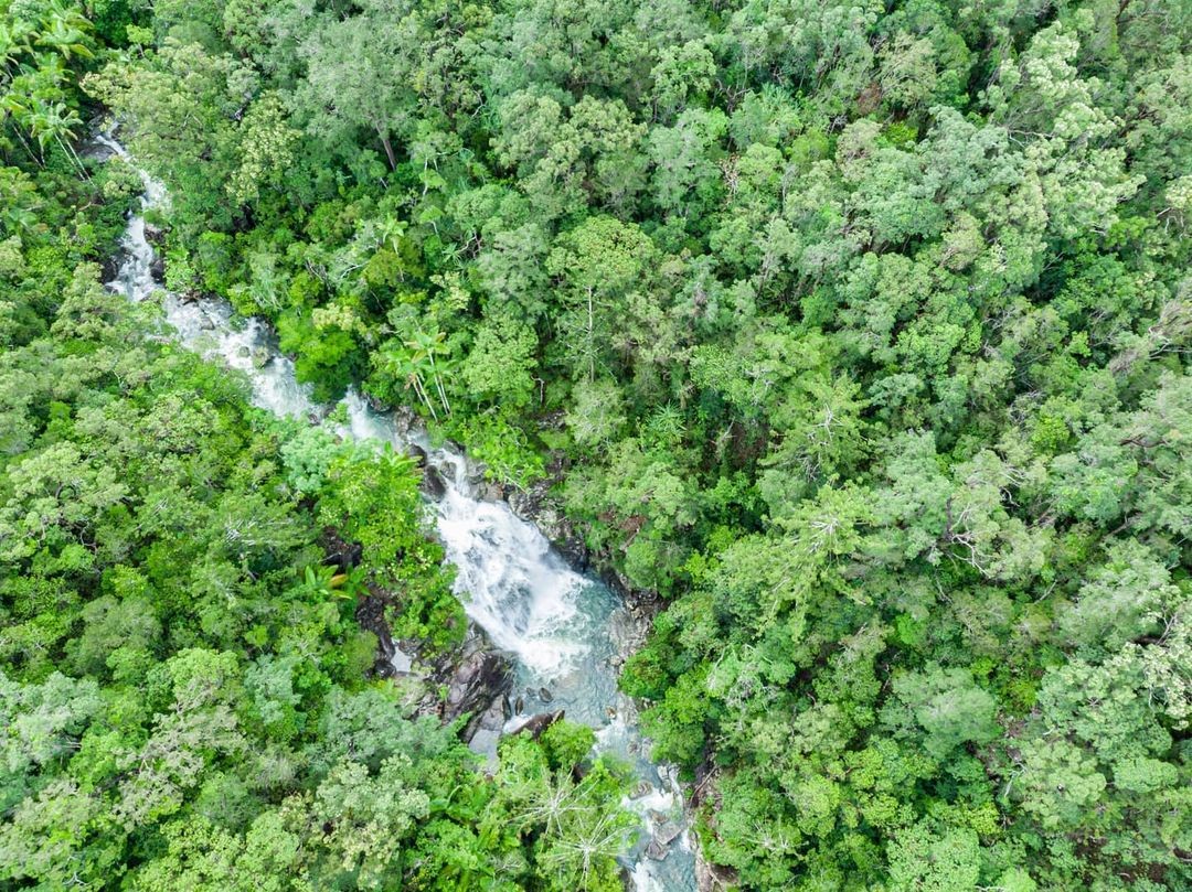 Little Crystal Creek, Paluma, North Queensland, Townsville