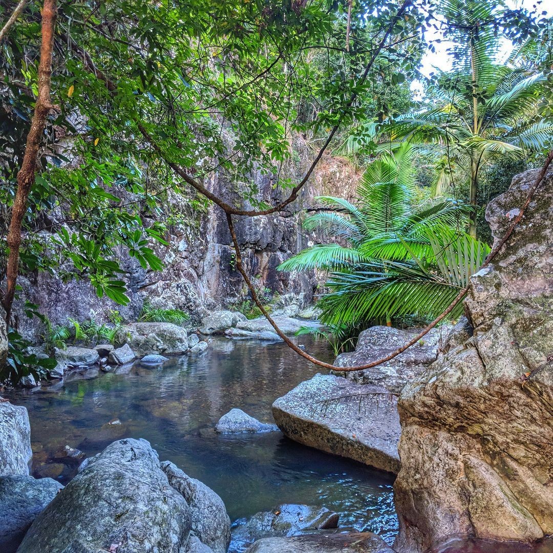Little Crystal Creek, Paluma