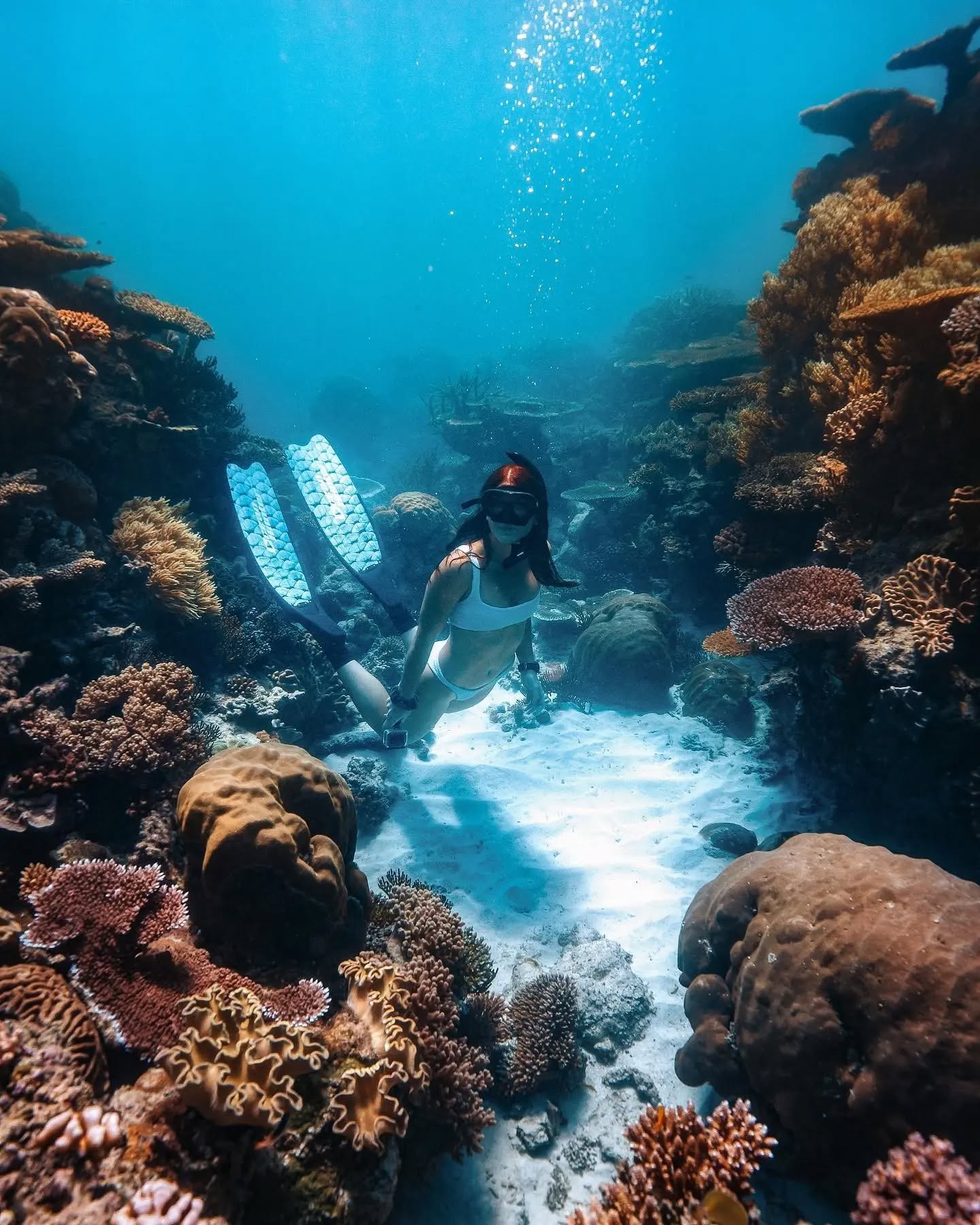Reef days…🌊✨