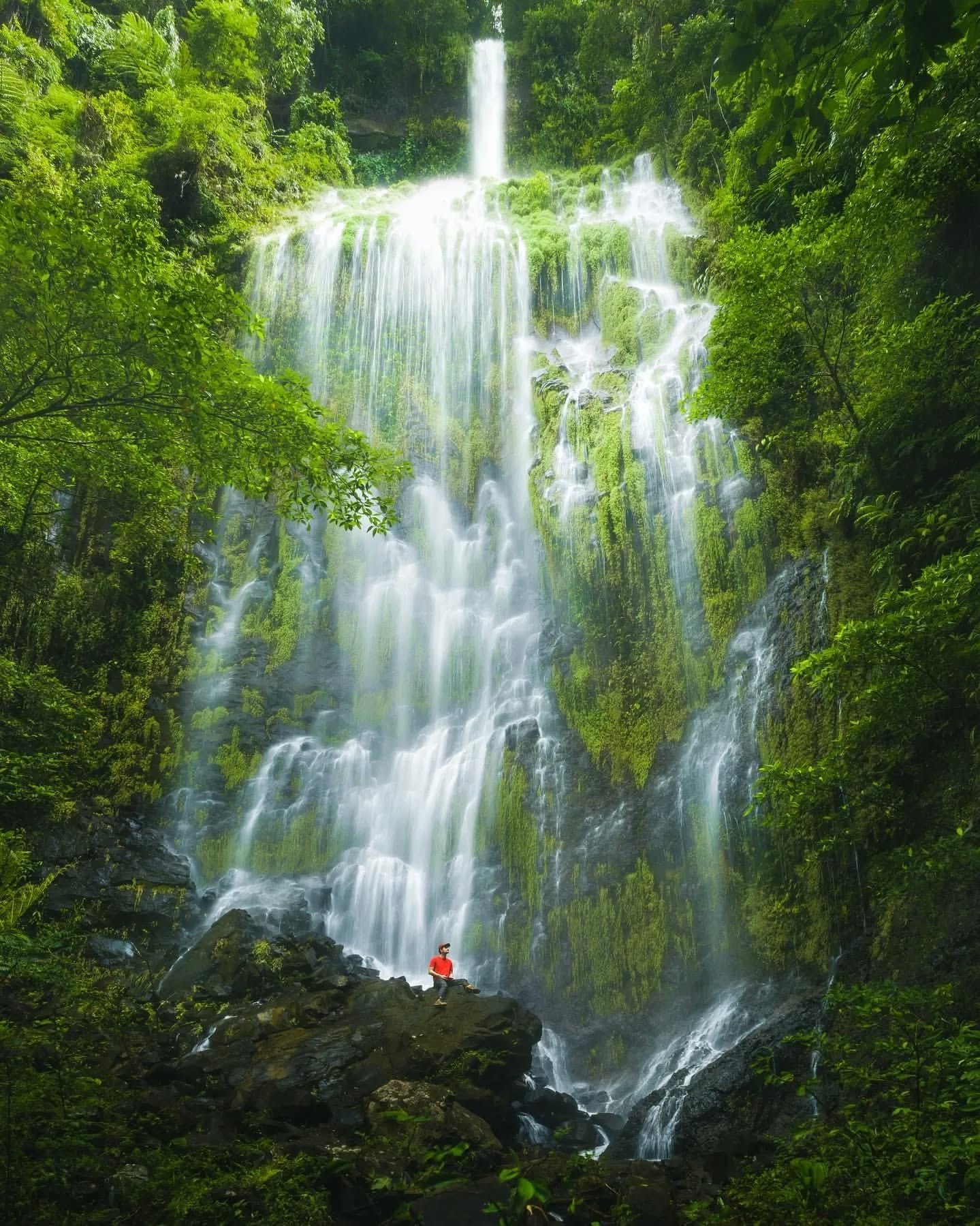 A hidden wall of green moss and falling water, deep in the rainforest 🌿