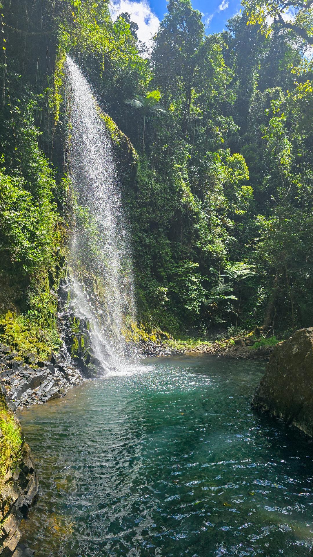 Rainforest days like these 🌿💦