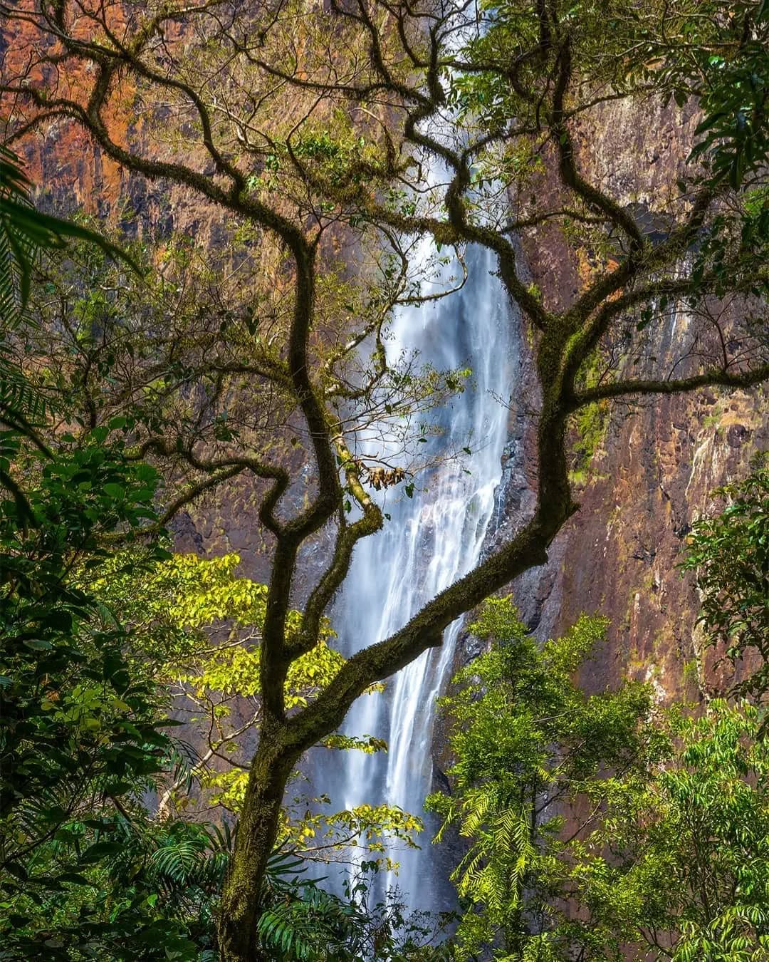 Wallaman Falls