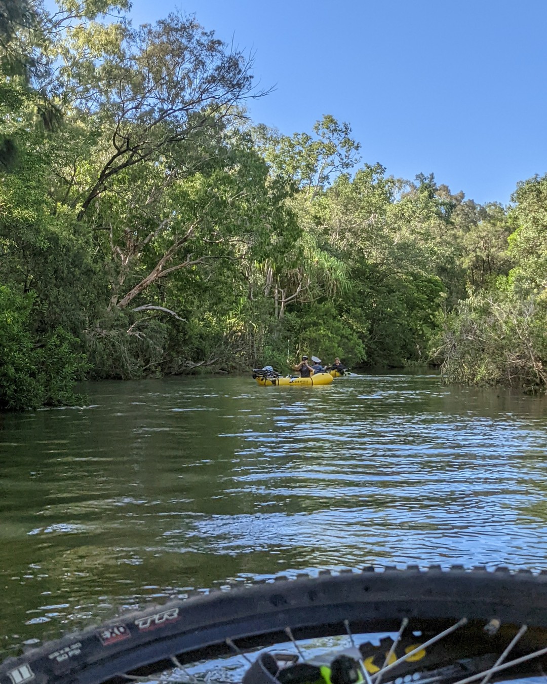 Alligator Creek