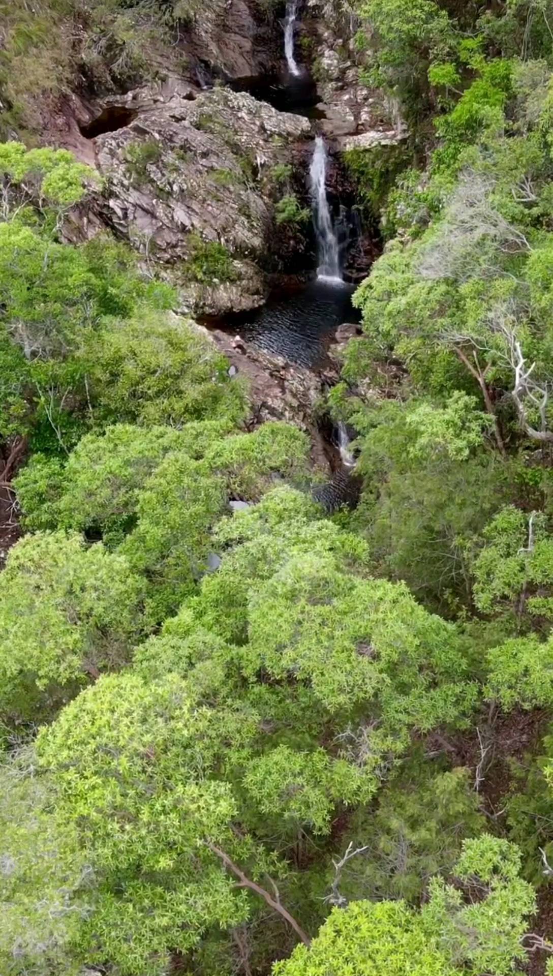 North Queensland, Munangumburu, Paluma