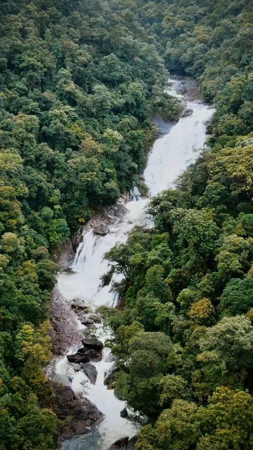 Wooroonooran, North Queensland
