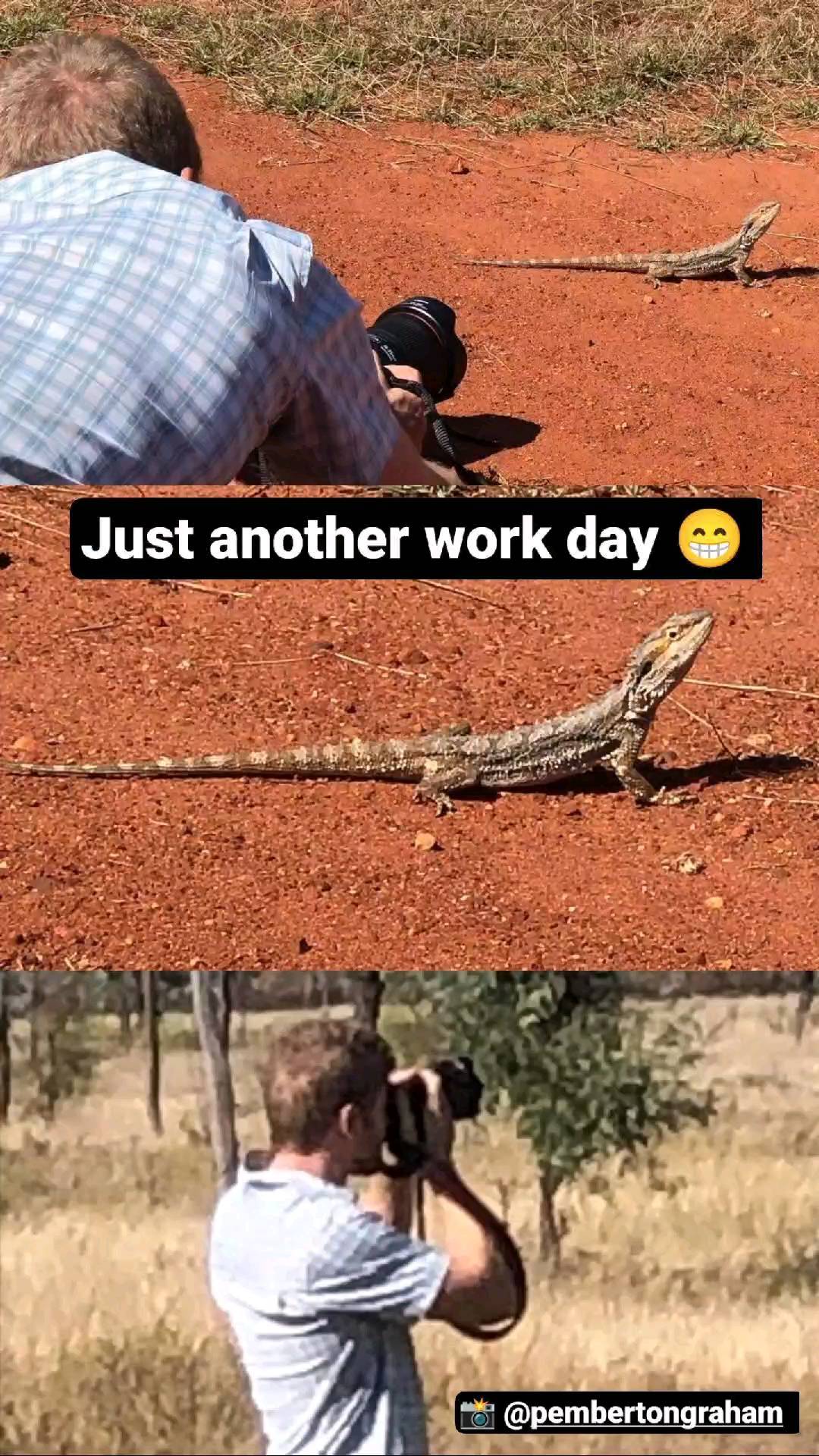 Townsville Adventures