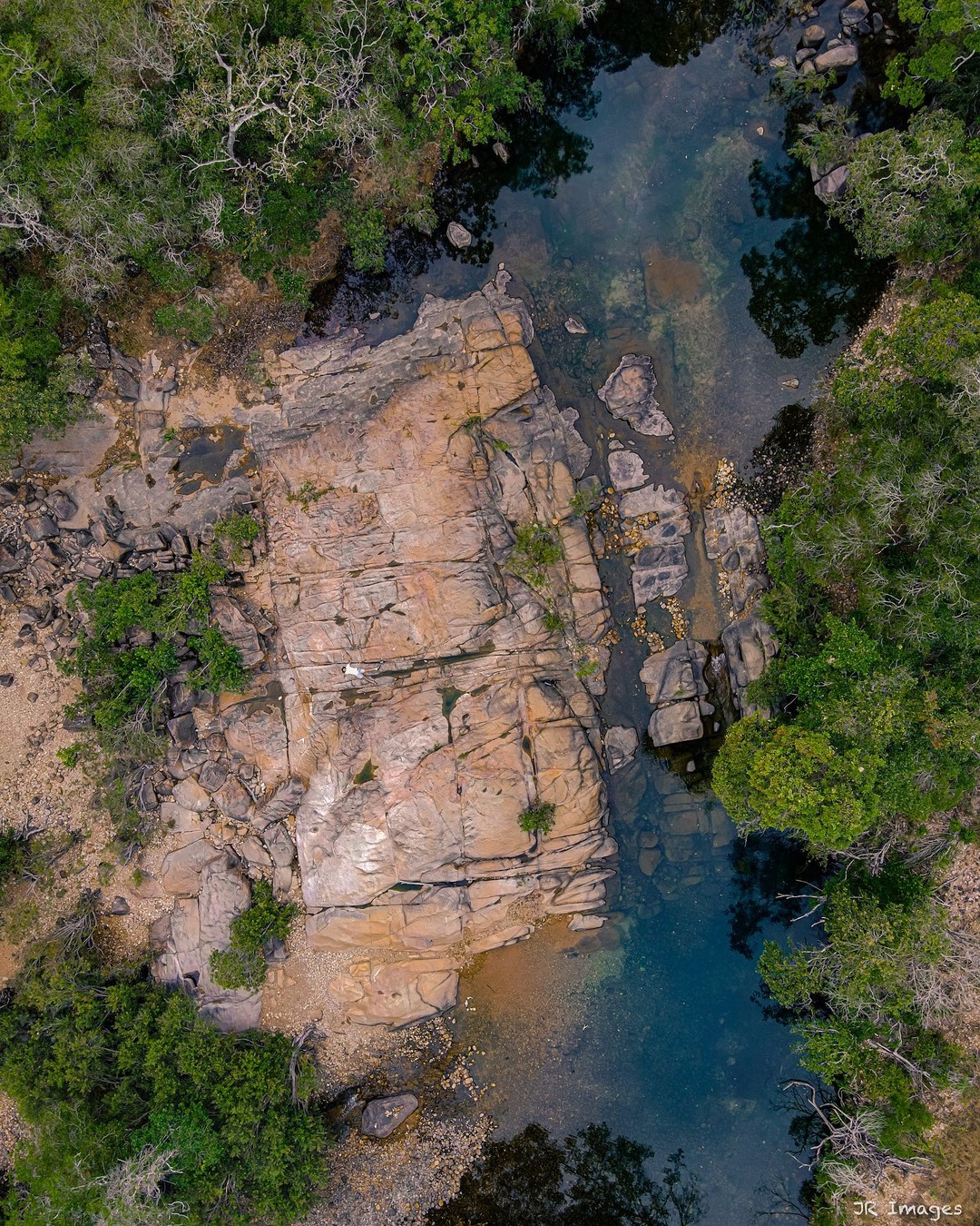 Can you spot Josh? 🦦🌲