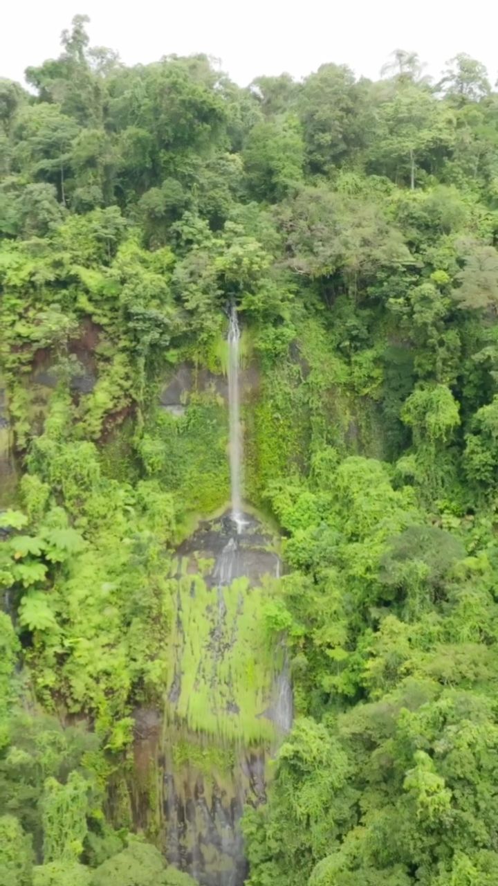 Atherton Tablelands, North Queensland