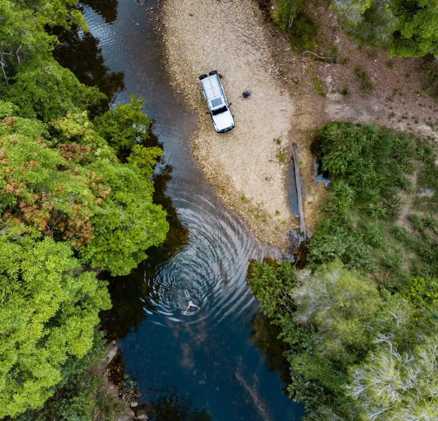 Who's ready for a swim?