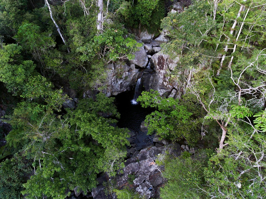 Little Crystal Creek, Paluma