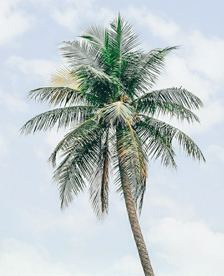 North Queensland, Townsville