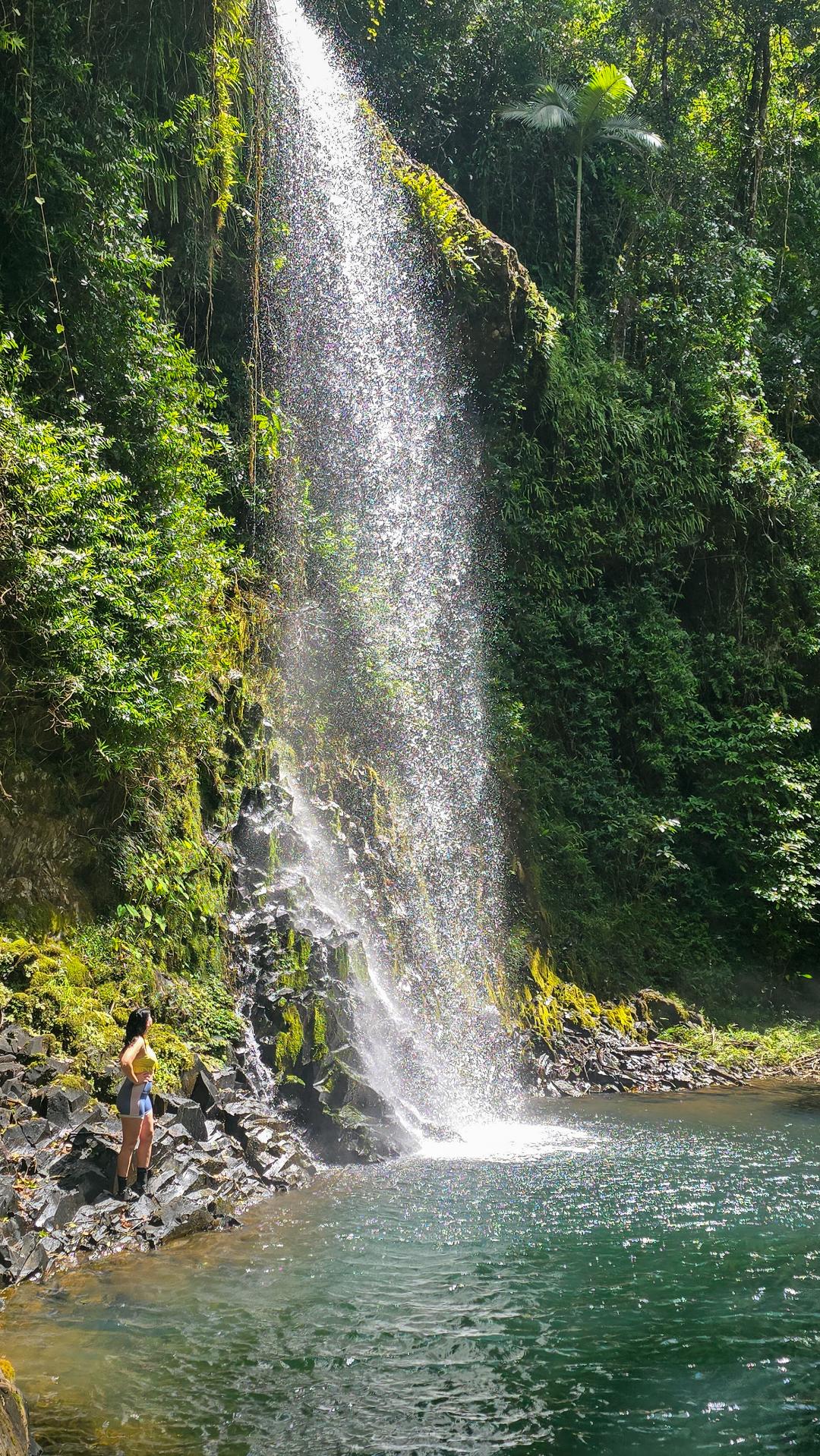 Rainforest days like these 🌿💦