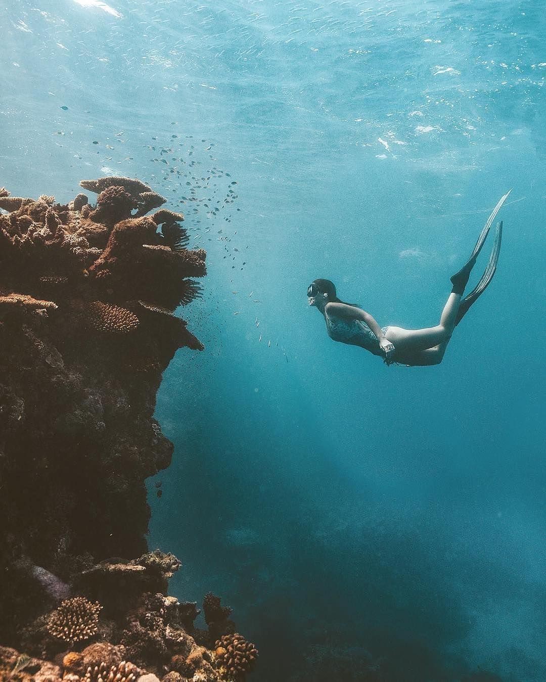 Keeper Reef, Great Barrier Reef