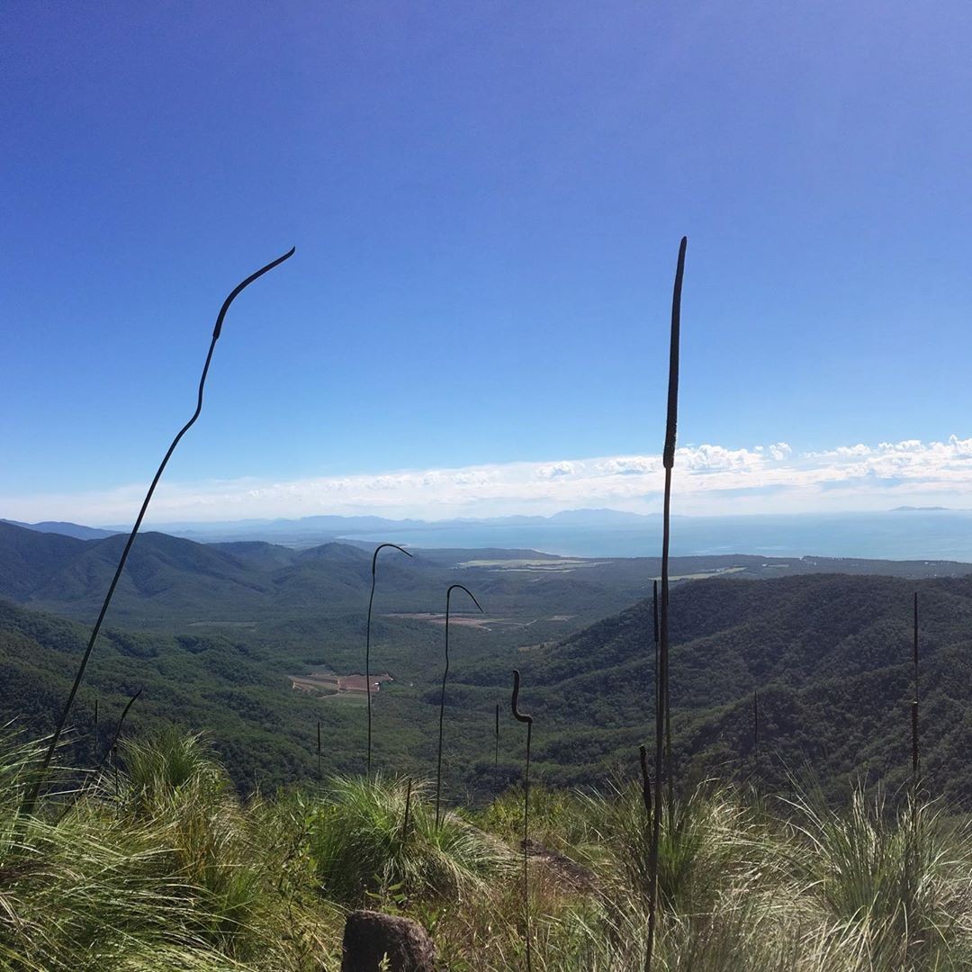 Godwin's Peak, North Queensland