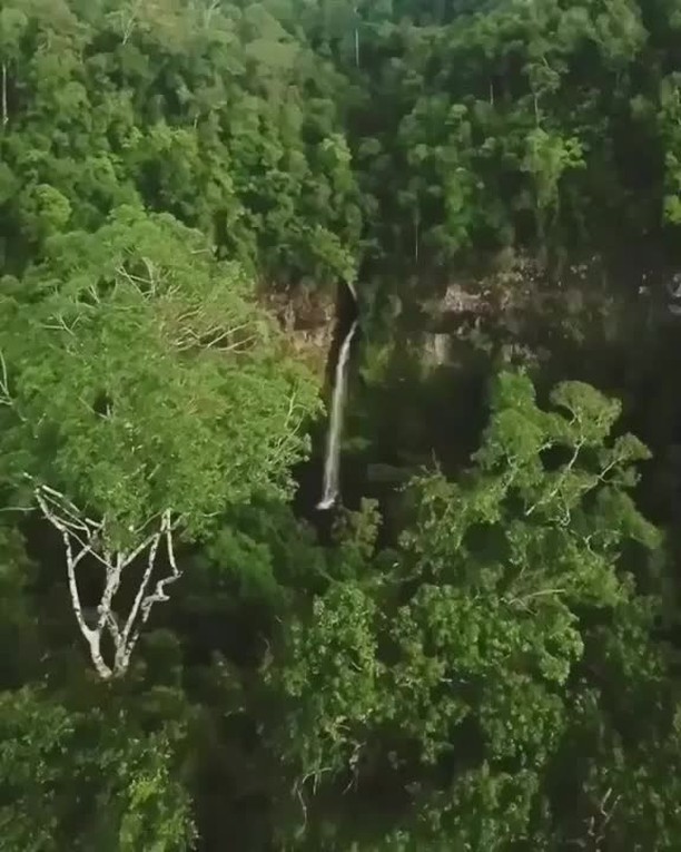 Nandroya Falls, Far North Queensland
