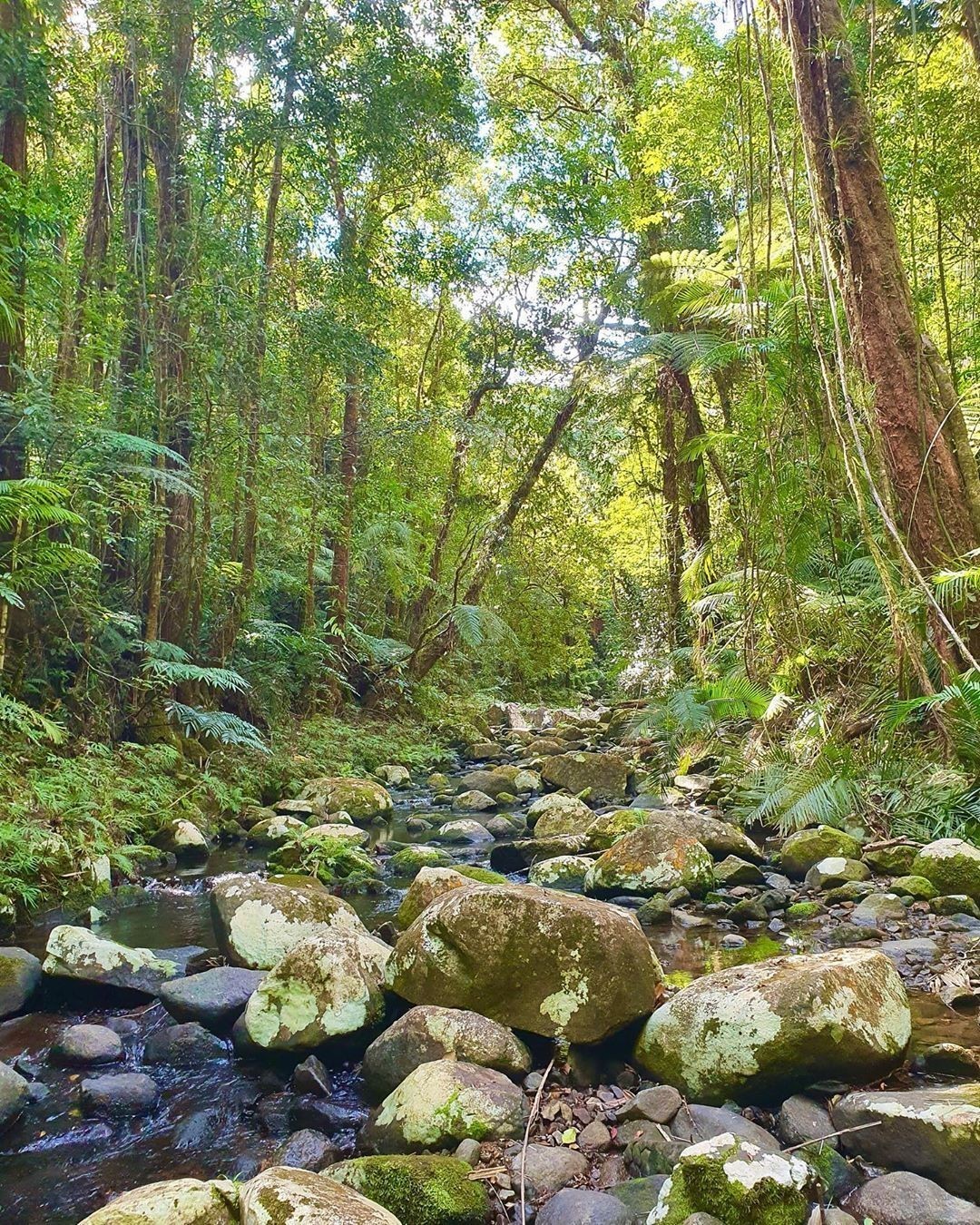North Queensland