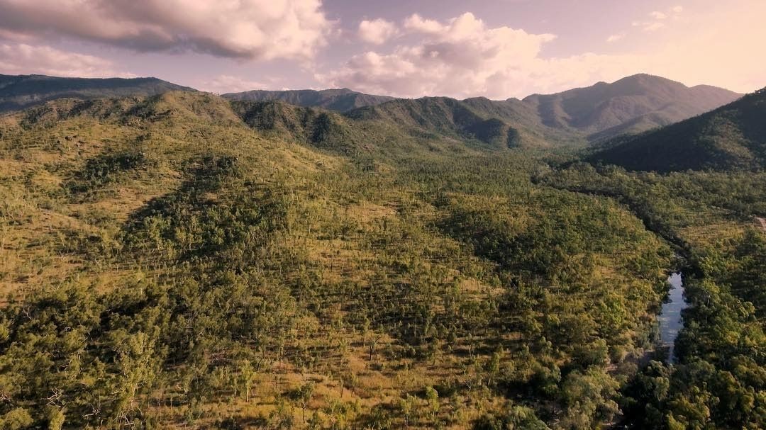 Pine Creek, Paluma, Bluewater, Sleeper Log Creek