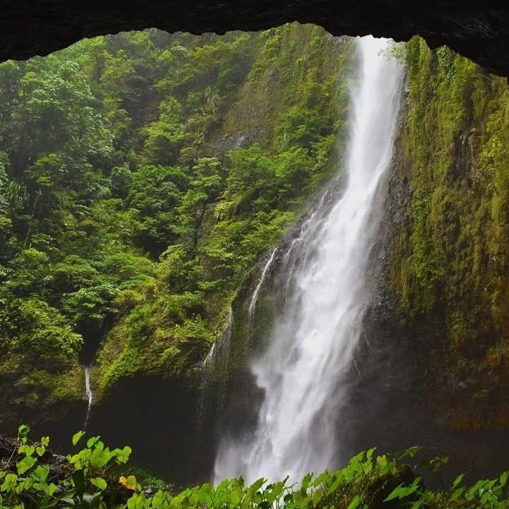 A stunning waterfall with a decent sized cave 🌱💦