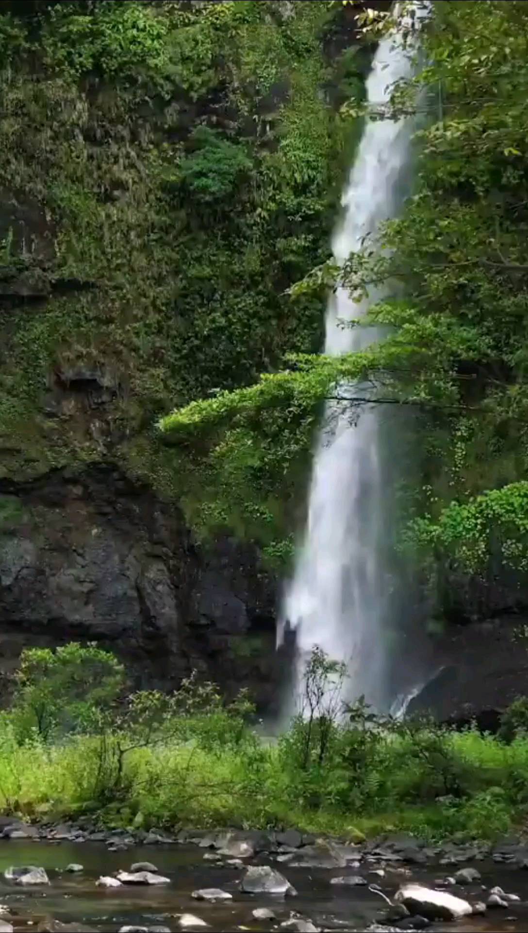 Nandroya Falls